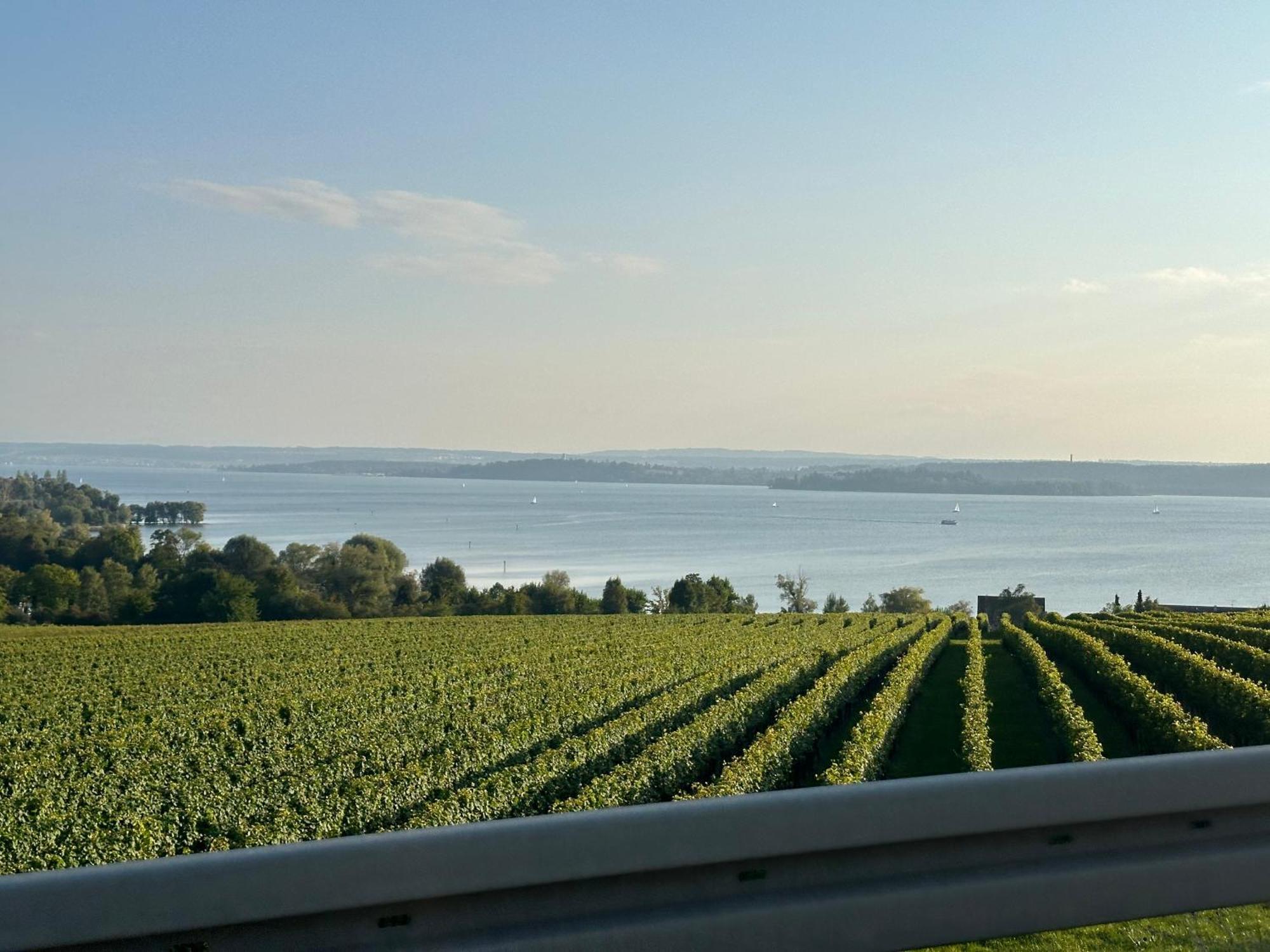 Kevins Ferienwohnungen Uhldingen-Mühlhofen Buitenkant foto